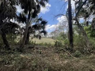 Vendo terreno en Escuintla frente a Carretera a Siquinala — miniatura 4 de 6