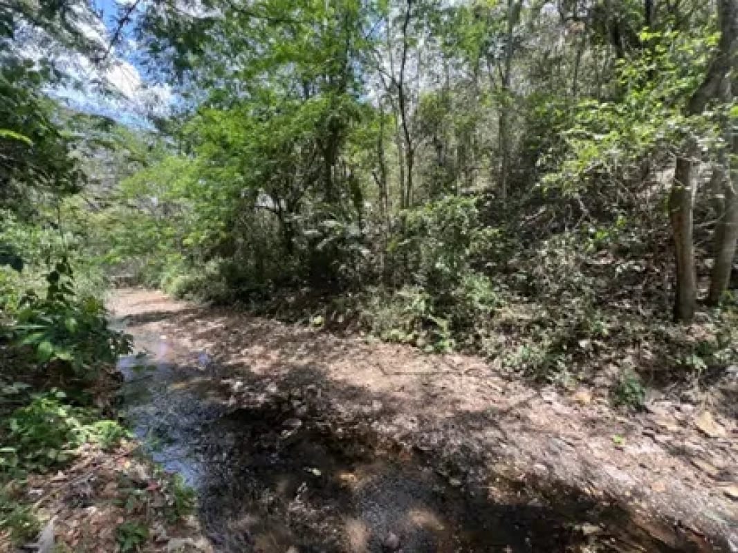 Vendo terreno en Escuintla frente a Carretera a Siquinala — foto 5 de 6