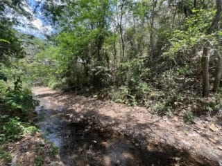 Vendo terreno en Escuintla frente a Carretera a Siquinala — miniatura 5 de 6
